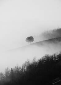 Magla u Sarajevskoj kotlini