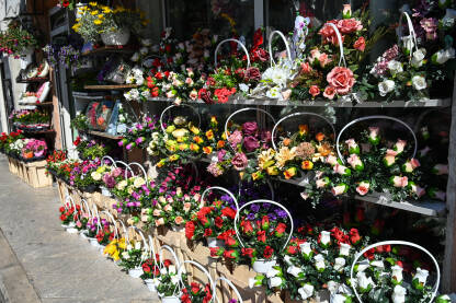Cvijeće na prodaju u cvjećari. Prirodno i plastično cvijeće.