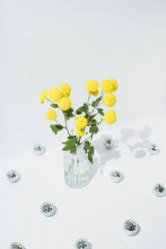 Buket žutog cvijeća u vazi i sjajne disko kugle na bijeloj pozadini.