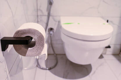 Toaletni papir i WC šolja u toaletu. Kupatilo kod kuće.