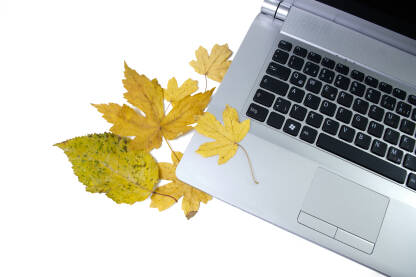 Laptop sa žutim lišćem na bijeloj pozadini