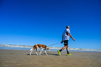 Čovjek šeta sa psom na pješčanoj plaži blizu mora. Čovjek i pas uživaju u šetnji uz more ljeti.
