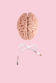 Ljudski mozak, anatomski školski model, sa USB kablom za punjenje na svijetloj roze podlozi.