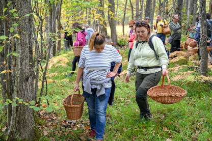 Ljudi sa korpama traže i beru gljive u jesen u šumi.