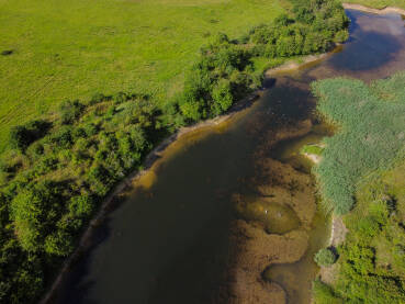 Snimak dronom na malo jezero u polju. Ptice traže hranu u ribnjaku u prirodi. Livanjsko polje, Bosna i Hercegovina.