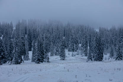 Put ka vrhovima planine Vlašić s maglom i stablima prekrivenim snijegom