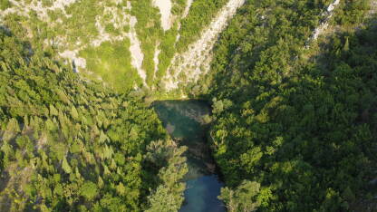 Izvor rijeke Bunice predstavlja jedinstvenu atrakciju na području Hercegovine. Okružen je sivo-bijelim liticama visokim i do 200 m na kojima rastu usamljene biljne vrste. Površina samog izvora je mirn