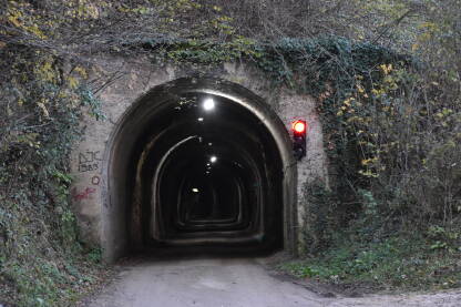 Tunel sa svjetiljkama i semaforom pored njega u prirodi.