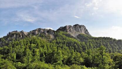 Panorama predjela prekrivenih šumom