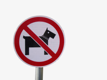 Parkovski znak zabrane uvođenja pasa.