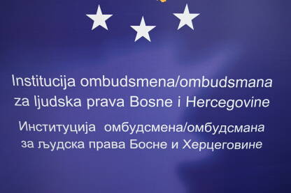 Ombudsman ljudskih prava iz Bosne i Hercegovine.