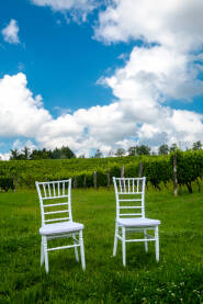 Bijele stolice za mladence u vinogradu