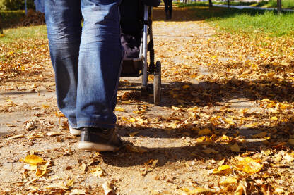 Koraci oca koji šeta sa bebom u kolicima po suhom liščću u vrijeme jeseni.