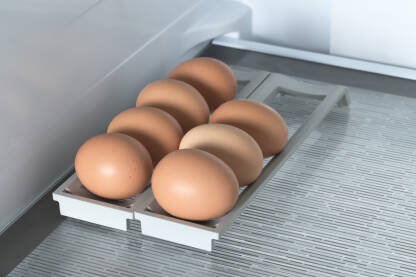 Svježa kokosija jaja na staklenoj polici u frizideru.
