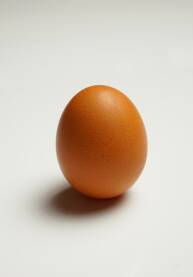 Kokošije jaje na bijeloj podlozi