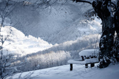 Klupa za odmor u prirodi prekrivena snijegom