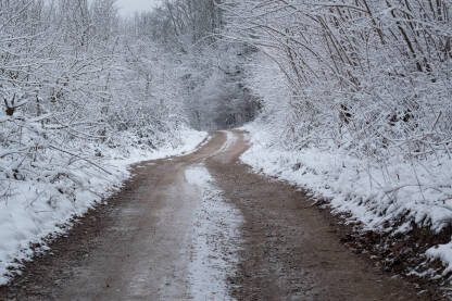Seoski put kroz šumu, makadam, tokom zime