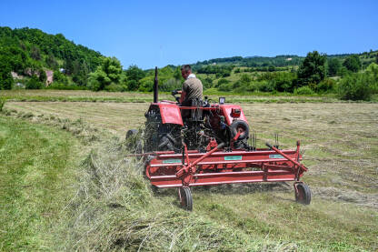 Čovjek na traktoru skuplja sijeno. Poljoprivrednik skuplja sijeno u polju. Prikupljanje sijena na livadi.