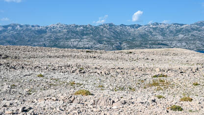 Priroda na otoku Pagu, Hrvatska. Otok Pag, Jadransko more i planina Velebit u pozadini.