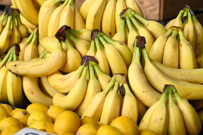 Svježe banane za prodaju na pijaci, krupni plan. Kutije pune banana u trgovini. Svježe i ukusno voće.