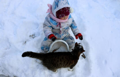 Dijete se igra sa mačkom. Dijete na sankama u snijegu