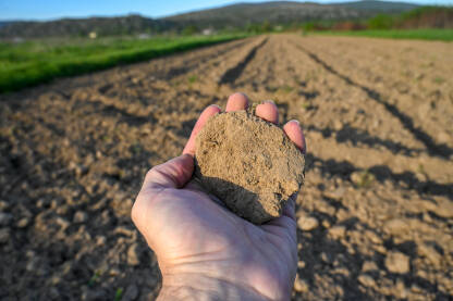 Farmer drži grumen zemlje u polju. Farmer drži grumen zemlje u polju. Plodna zemlja. Poljoprivreda.