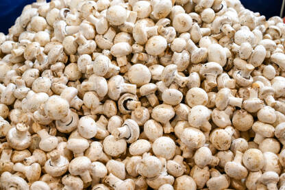 Gljive za prodaju na pijaci. Šampinjoni u trgovini.