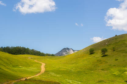 Zelengora je planina u sjeveroistočnoj Hercegovini, BiH, koja se nalazi u sklopu Nacionalnog parka Sutjeska.