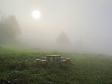 Šumska magla u jutro