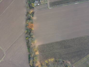 Jesen u okolini Šamca, snimak obrađenog poljoprivrednog zemljišta i opalo lišće sa stabala koje sa rasulo po oranici. Novembar 2021. godine.