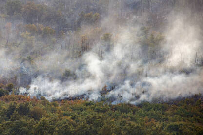 Šumski požar u Hercegovini