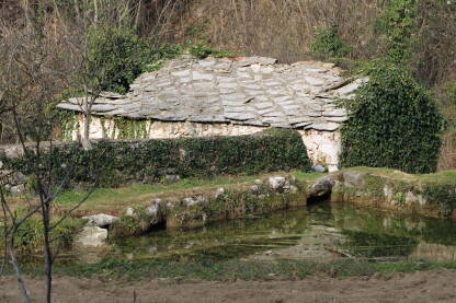 Kameni zidovi i krov zarasli u bršljan; Hercegovina, Stolac