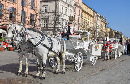 Kočije za iznajmljivanje u centru Krakova, Poljska. Konji upregnuti u kočije, turistička ponuda Krakova.
