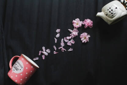 Čajnik,šolja za čaj i latice cvijeća na crnoj pozadini
