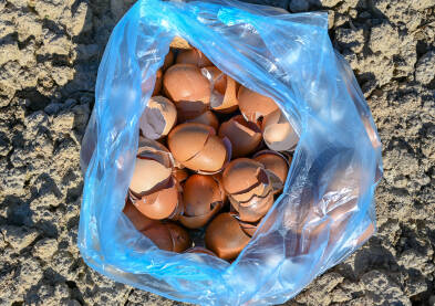 Polupane ljuske jaja. Ljuske jaja u kesi. Ljuske jaja su dobre za obogaćivanje poljoprivrednog zemljišta jer su bogate kalcijumom. Prirodno gnojivo od ljudski jaja.