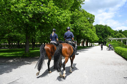 Policijska patrola na konjima u gradskom parku. Policija.