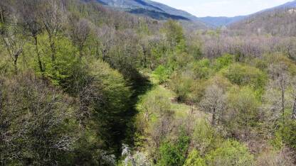 Panorama predjela prekrivenih šumom