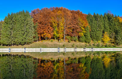Jesen na jezeru Balkana pored Mrkonjić grada, Republika Srpska, Bosna i Hercegovina. Sve boje jeseni u prirodi. Ljudi šetaju pored jezera tokom lijepog jesenjeg dana.