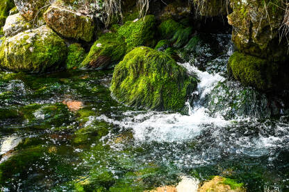 Izvor čiste planinske vode. Rijeka teče u prirodi.