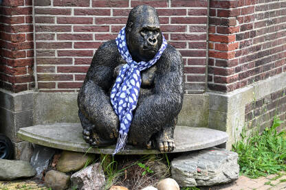 Statue gorile sa šalom.