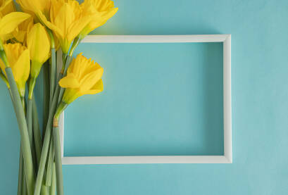 Prazan bijeli fotookvir na svijetloj plavoj podlozi sa svježim žutim cvjetovima narcisa.
