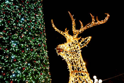 Ukrašena božićna jelka i osvijetljeni sobovi u sankama Djeda Mraza. Ukrašena jelka u centru grada noću. Šareni novogodišnji ukrasi.