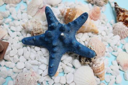 Plava morska zvijezda