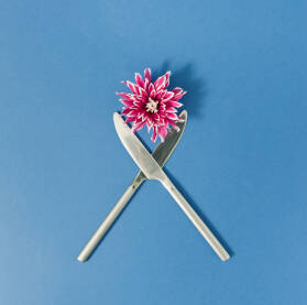 Dva noža i cvijet ljubičaste dalije na plavoj pozadini.