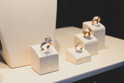 Luksuzni nakit izložen u draguljarnici. Zlatno i srebrno prstenje na prodaju.