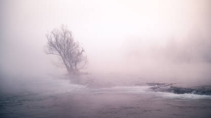 Drveće u magli na rijeci Uni