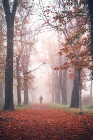 Jesenja magla u gradskom parku i aleji u Bihaću.