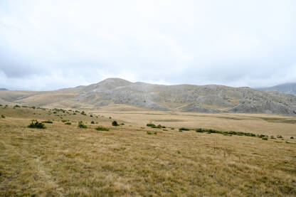 Planinska visoravan u jesen. Oblaci i magla iznad planine. Planina Bistra, Mavrovo, Sjeverna Makedonija.