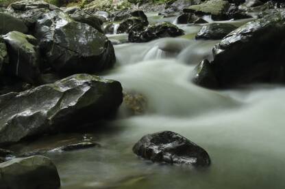 Mala planinska rijeka Trstionica u gornjem toku, slap i kamen izbliza.