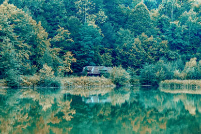Jezero u Trnovu nadomak Sarajeva...moć vode preslikava je svu prirodu koja je okružuje...